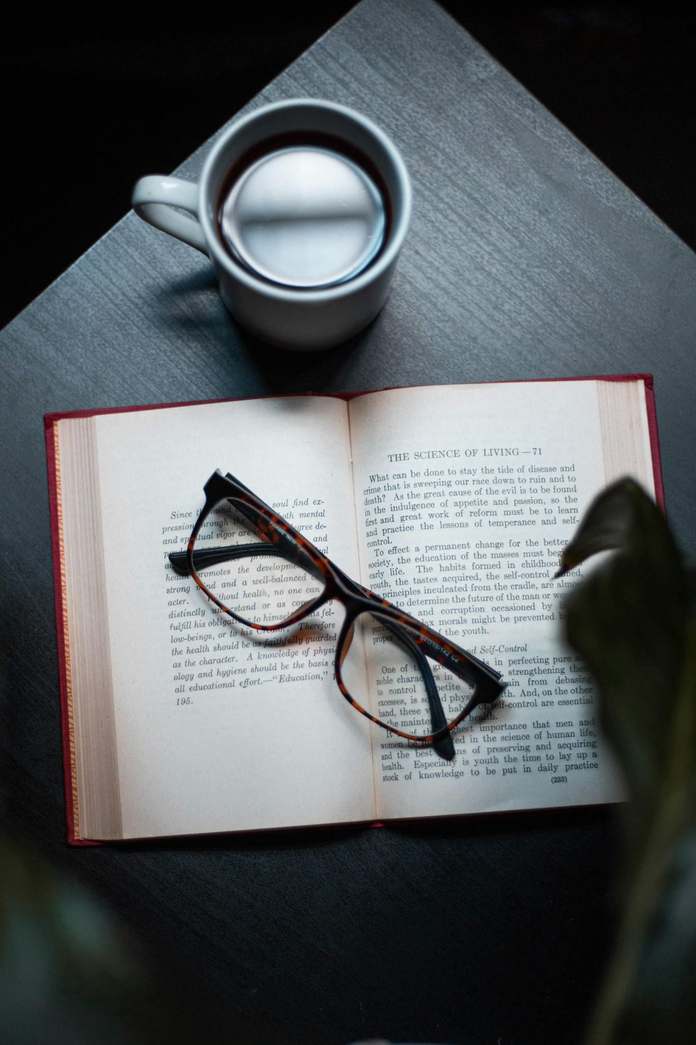 Glasses resting on open book with coffee – symbolising near vision zone in varifocals